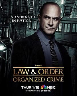 法律与秩序：组织犯罪 第四季第04集