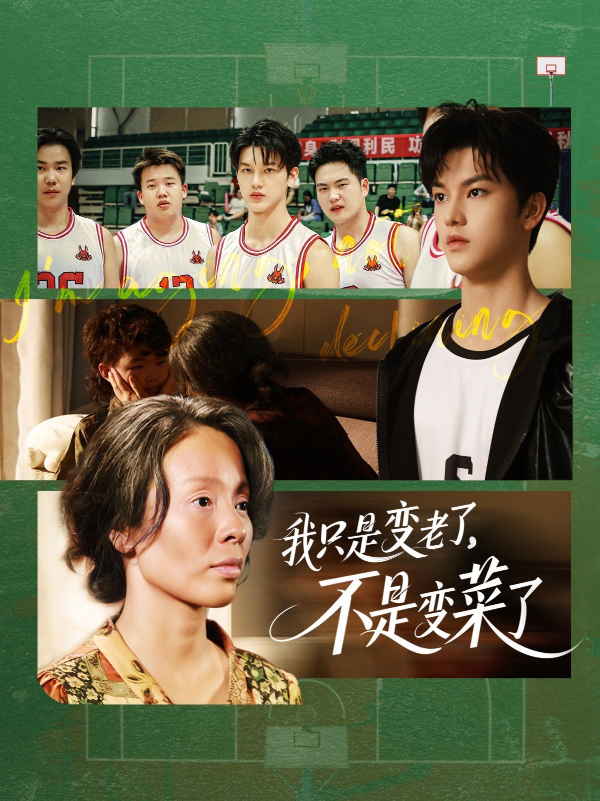 我只是变老了不是变菜了(全集)