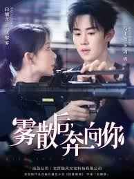 雾散后奔向你(全集)