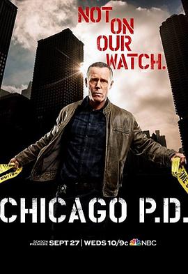 芝加哥警署第5季(全集)