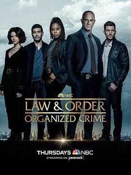 法律与秩序：组织犯罪第3季(全集)