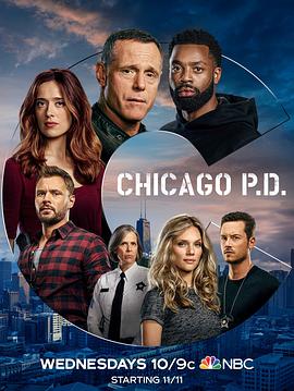 芝加哥警署第8季(全集)