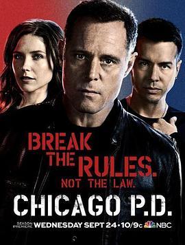 芝加哥警署第2季(全集)